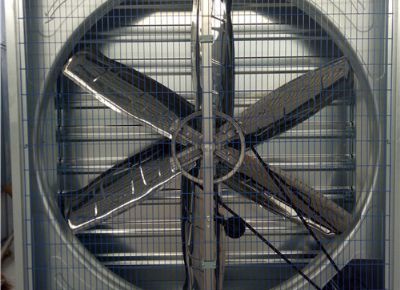 點(diǎn)擊查看詳細(xì)信息<br>標(biāo)題：Heavy Hammer Type Animal Husbandry Fan 閱讀次數(shù)：1654