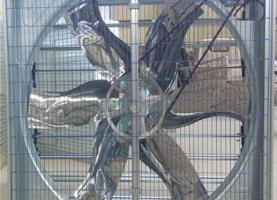 點(diǎn)擊查看詳細(xì)信息<br>標(biāo)題：Push Pull Negative Pressure Fan 閱讀次數(shù)：1537