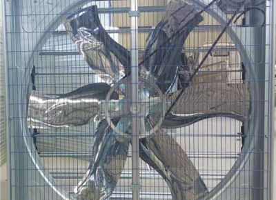 點擊查看詳細信息<br>標(biāo)題：Push Pull Type Animal Husbandry Fan 閱讀次數(shù)：2354